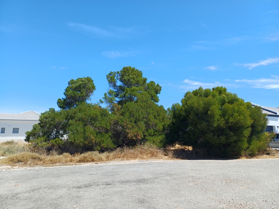 0 Bedroom Property for Sale in Shelley Point Western Cape